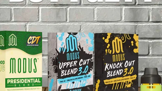 Modus Knockout THC Gummies, Modus Tap Out Gummies, Modus Upper Cut Blend Gummies