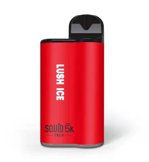 SQUID 5K Disposable Vape Rechargeable Pod Device by TKCA