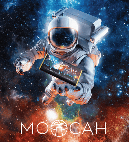 MOOCAH MICRODOSE CHOCOLATE BAR I Display of 12